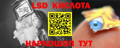прущие грибы Краснокаменск