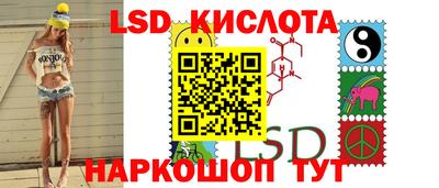 прущие грибы Краснокаменск