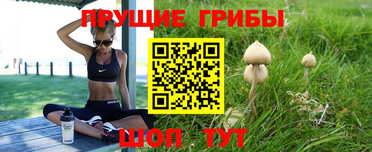 Галлюциногенные грибы мицелий Канаш