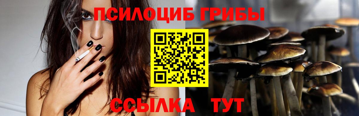 Псилоцибиновые грибы прущие грибы  Вход с VPN  Псилоцибиновые грибы ЛСД  Канаш 