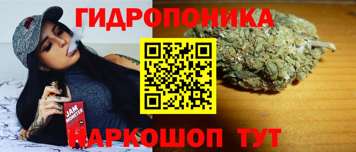 Каннабис сатива  Канабис AK-47  Канаш  Марихуана индика  Конопля THC 21%  Вход с VPN 